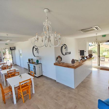 Carrua Guest House มาร์ซาเมมี ภายนอก รูปภาพ