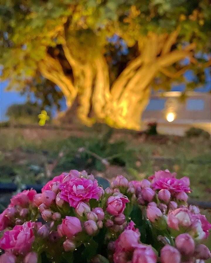 Carrua Guest House มาร์ซาเมมี ภายนอก รูปภาพ